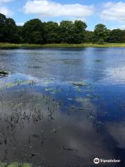 Brown Moss countryside site