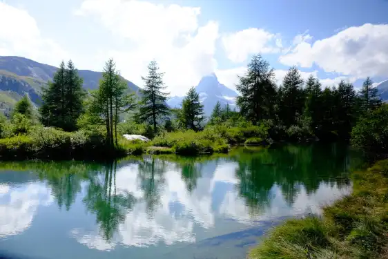 鄰近Grindjisee的酒店