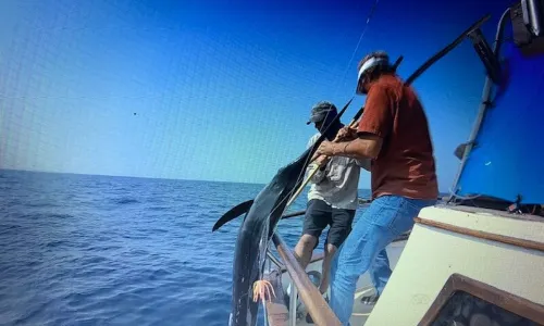 Sea Angling in Santiago De Composte