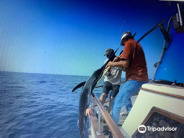 Sea-fishing in Santiago De Composte