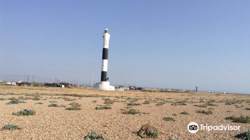 Dungeness National Nature Reserve