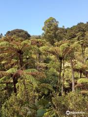 Karaka Track