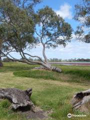 Cockatoo Lake Recreation Reserve