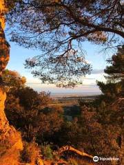 Parque Natural Regional Haut-Languedoc