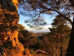 Parque Natural Regional Haut-Languedoc
