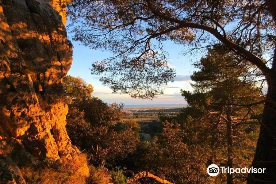 Park Naturel Regional du Haut-Languedoc