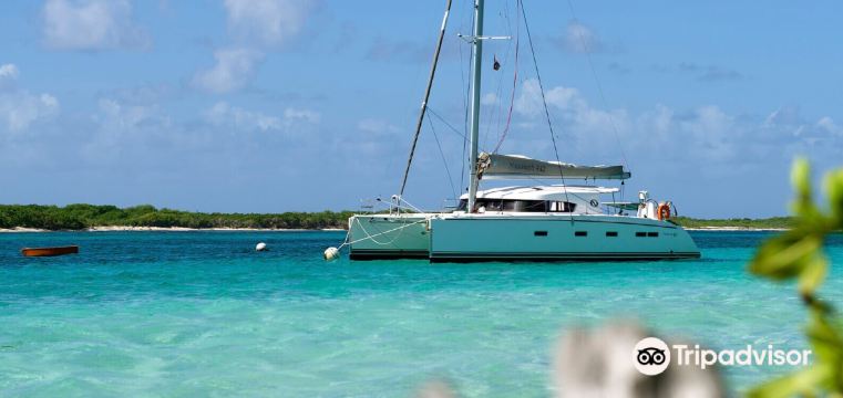 Things to Do in SaintMarcelCampes in 2025 Top Attractions, Local