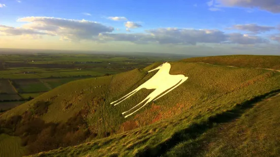 Westbury White Horse