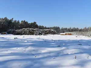 Mazowiecki Landscape Park