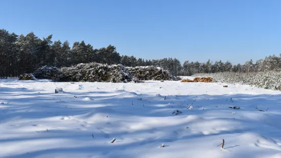 Mazowiecki Landscape Park