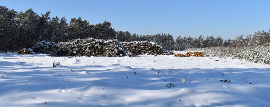 Mazowiecki Landscape Park