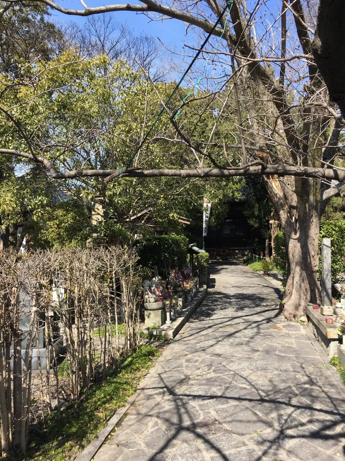 Hotels near Ryutaiin Temple