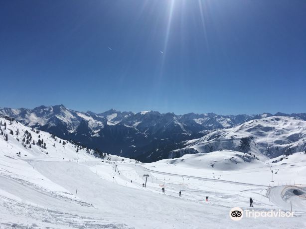 Zillertal Arena