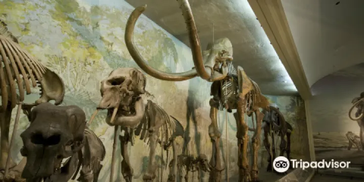 University of Nebraska State Museum - Morrill Hall