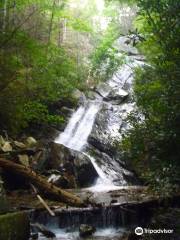 Glen Burney Falls Trail