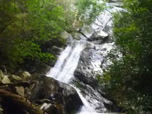 Glen Burney Falls Trail