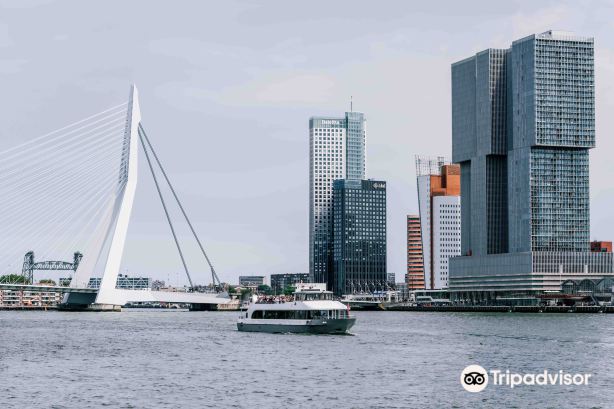 De Zilvermeeuw