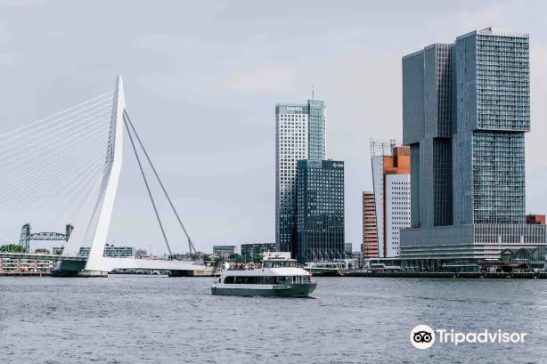 De Zilvermeeuw