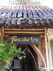 Spa Forester Beach