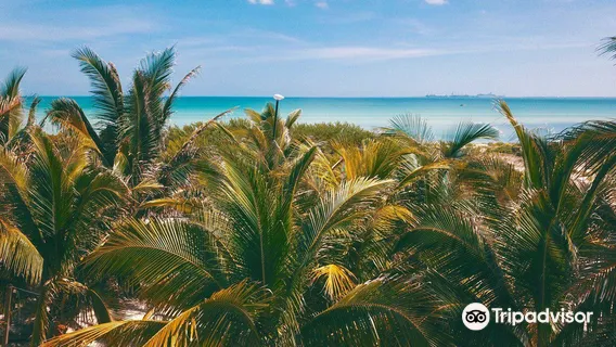 YUCKITE PROGRESO | KITESURF & WINGFOIL SCHOOL + SHOP