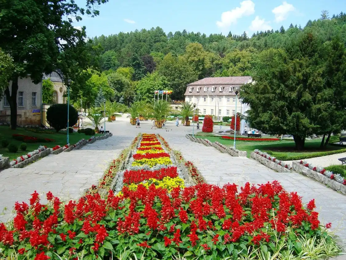 Hotels near Park Zdrojowy