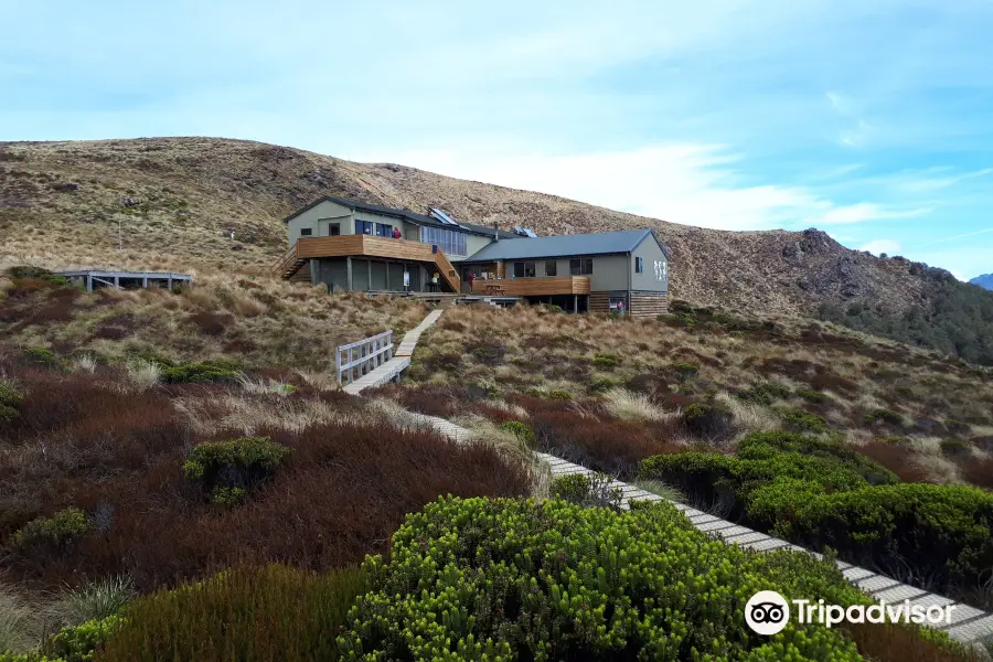 Luxmore Hut Track