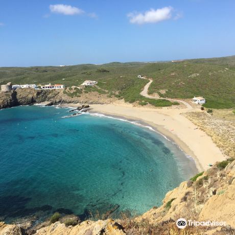 Playa Sa Mesquida