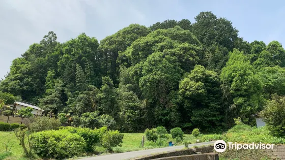 Old Burial Mound at Mt. Mesuriyama