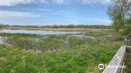 Tifft Nature Preserve