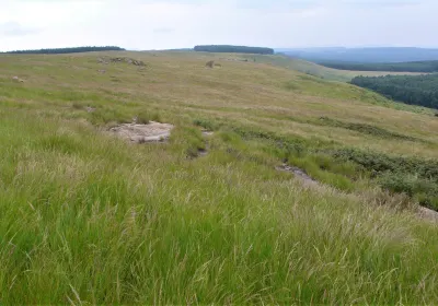 Paulpietersburg