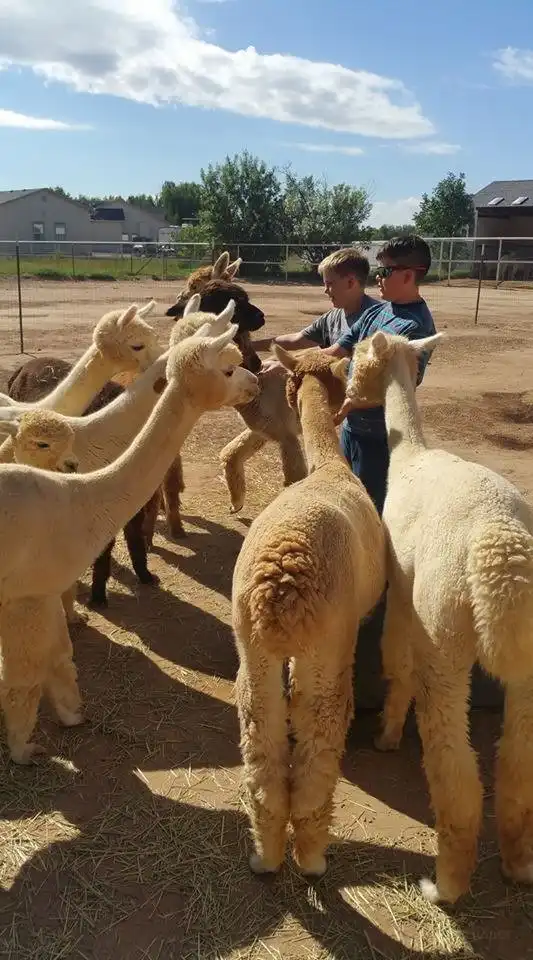 Hotel in zona Sundancer Alpacas