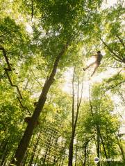 Go Ape Zipline and Adventure Park