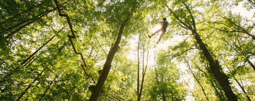 Go Ape Zipline and Adventure Park