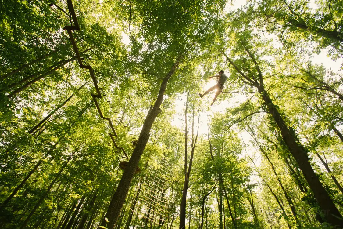 Go Ape Treetop Adventure Course 주변 호텔