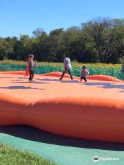 Gieringers Family Orchard & Berry Farm