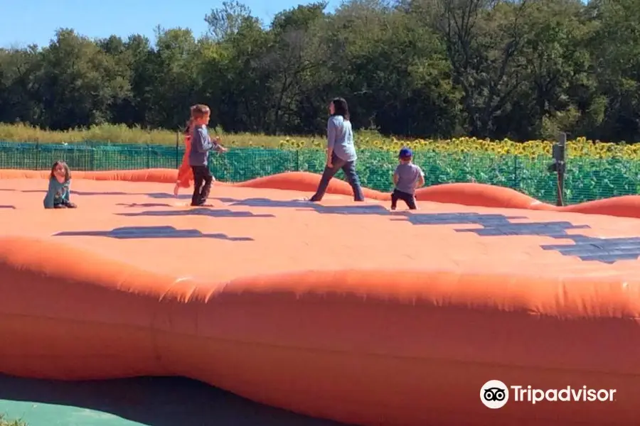 Gieringers Family Orchard & Berry Farm