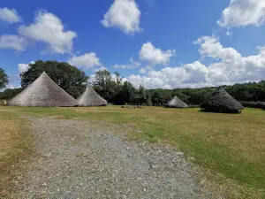 Castell Henllys Iron Age Village