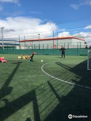 Goals Soccer Centre Chester