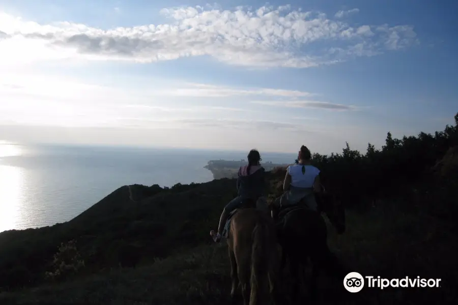 Horse-Riding School Abrau-Durso