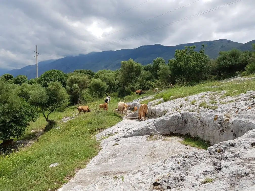 Hotels near Orikum Archaeological Park