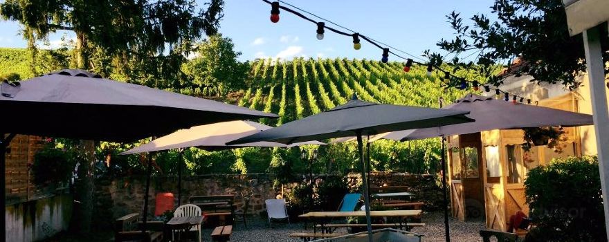 Brasserie du Vignoble