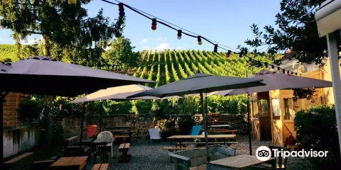 Brasserie du Vignoble