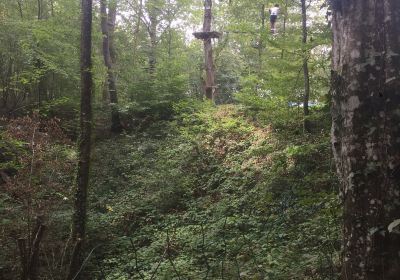 Lugny Acro - Parcours d'aventure en Bourgogne à 15 minutes de Mâcon