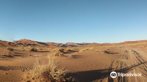 Namib Desert