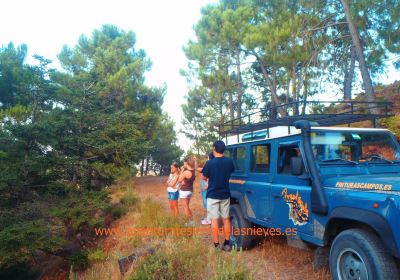 Aventurate Sierra de las Nieves