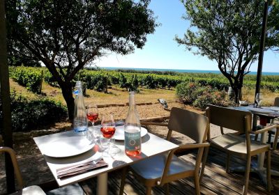 Plage de Maguelone