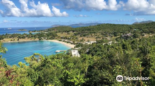 Caneel Bay Beach