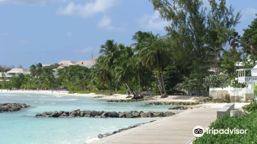 South Coast Boardwalk