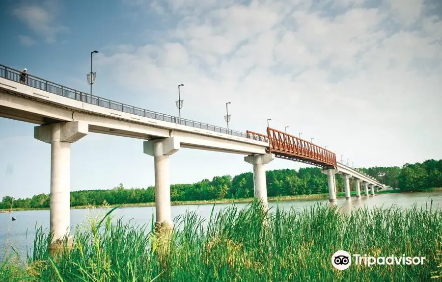 The Arkansas River Trail