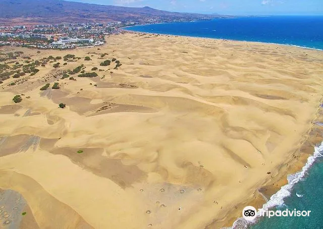 4_Playa de Maspalomas
